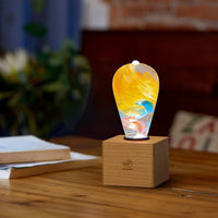 EP Light - Garden-2