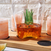 Tequila Decanter With Four Pink Himalayan Salt Shot Glasses Set, Perfect for Tequila Agave Liquor Lovers, 34 OZ Bottle, 1.6 OZ Shot Glass, Tequila, Liquor Party Decorations Cinco De Mayo (Agave)-3