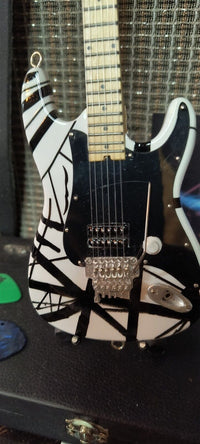 EDDIE VAN HALEN - Black & White 