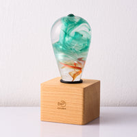 EP Light - Aquaria-1