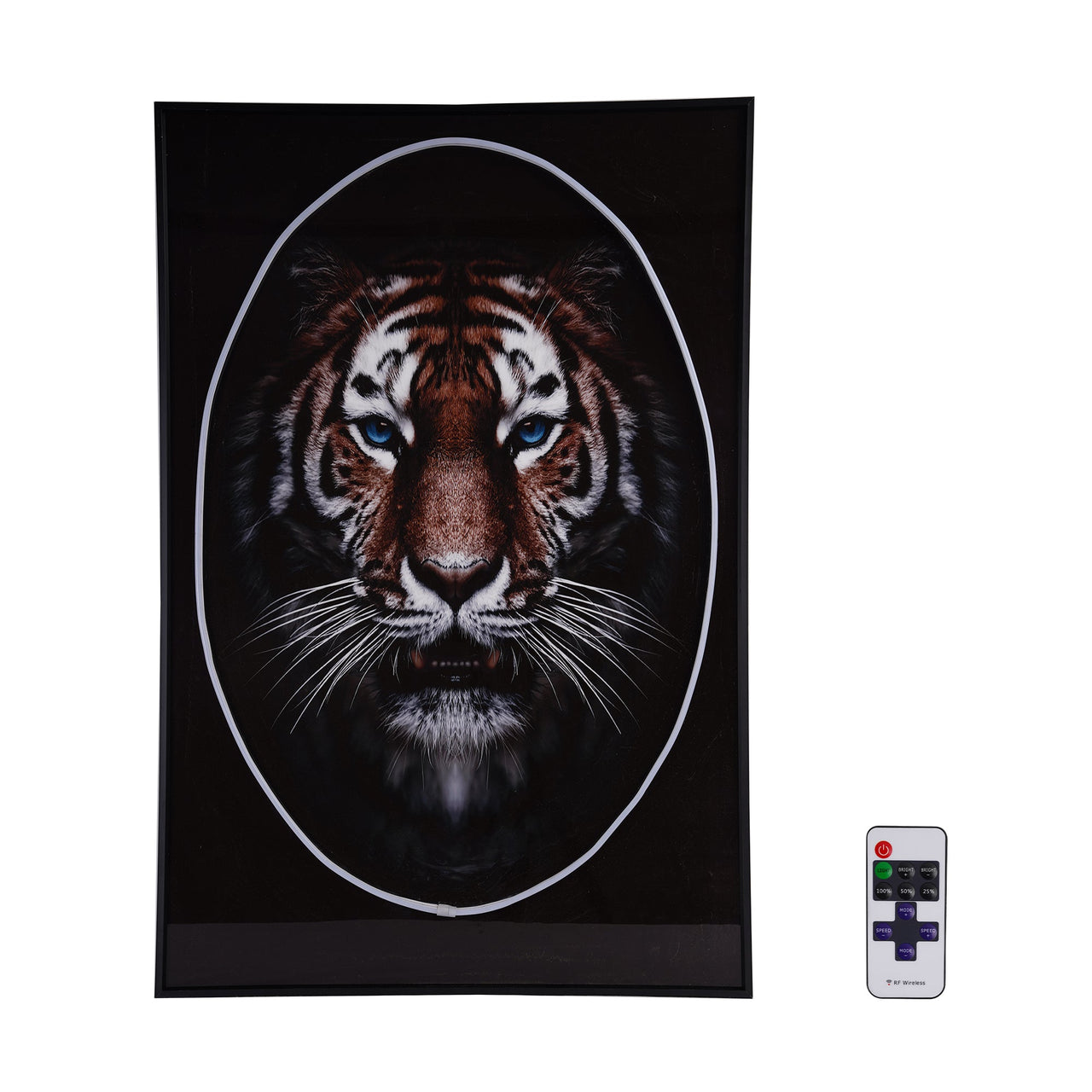 Lion Wall Art with LED Light-7