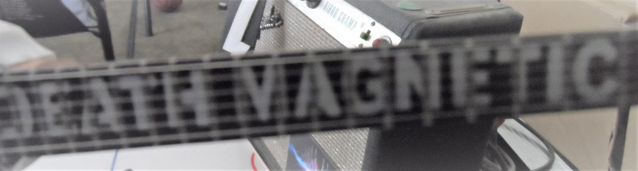 Kirk Hammett Death Magnetic V 1:4 Scale Replica Guitar ~Axe Heaven