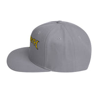 MegaDeth Nuclear Winter Embroidered Snapback Hat [Apparel]