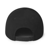 Ozzy Osbourne Black Embroidered Snapback Hat [Apparel]