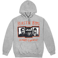 The Beastie Boys So What Cha Want [Sweatshirt]