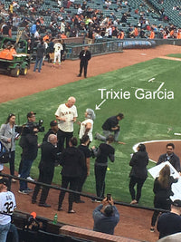 SF Giants 2018 Jerry Garcia Night Limited Edition and Numbered Collectible Mini Guitar